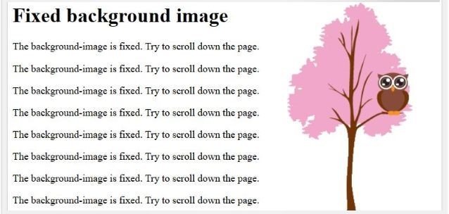 fixed background
